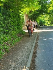 Die Strecke zwischen Malente und Krummsee im Radweg-Check | Grüne Malente